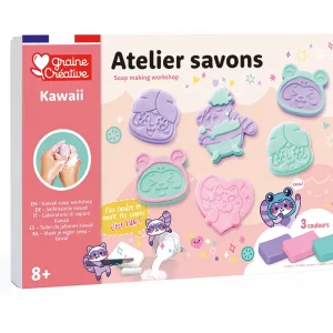 CAJA DE TALLER DE JABÓN KAWAII