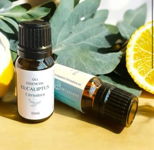 Aceite esencial de eucalipto citriodora