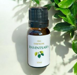 Aceite esencial de ravintsara